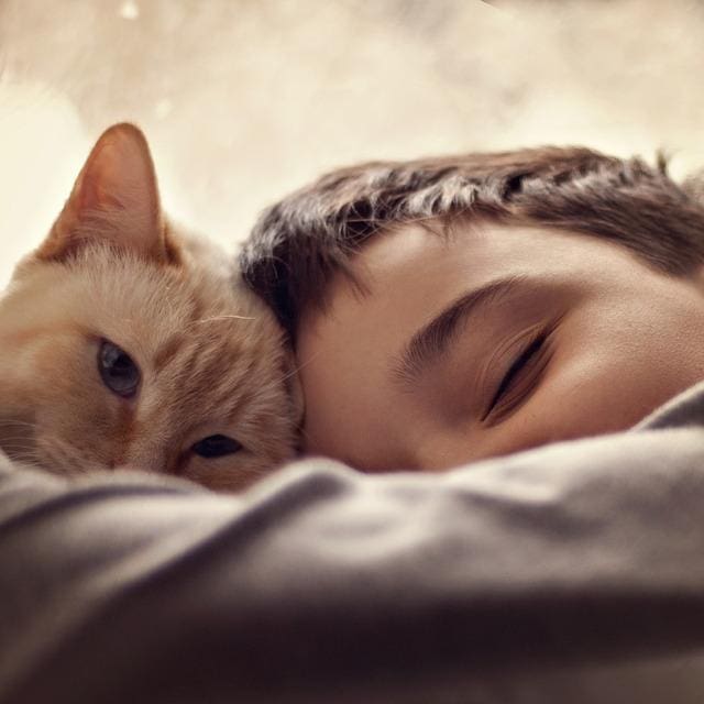 Why Cats and Kittens Make Wonderful Playmates for Children