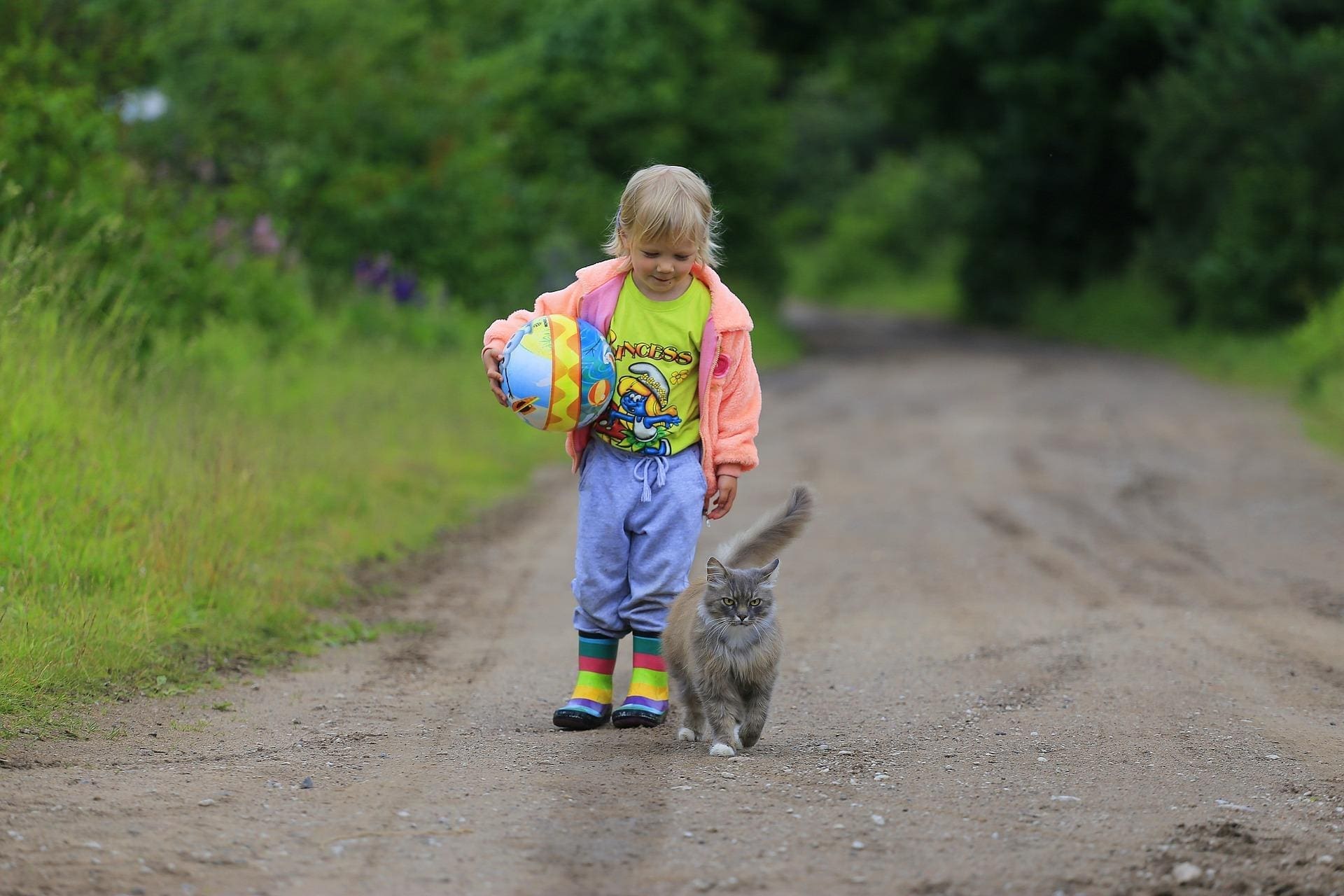 Photograph of a little girl holding in her hand a ball. Next to her, very proud of herself, walks the little girl's cat.