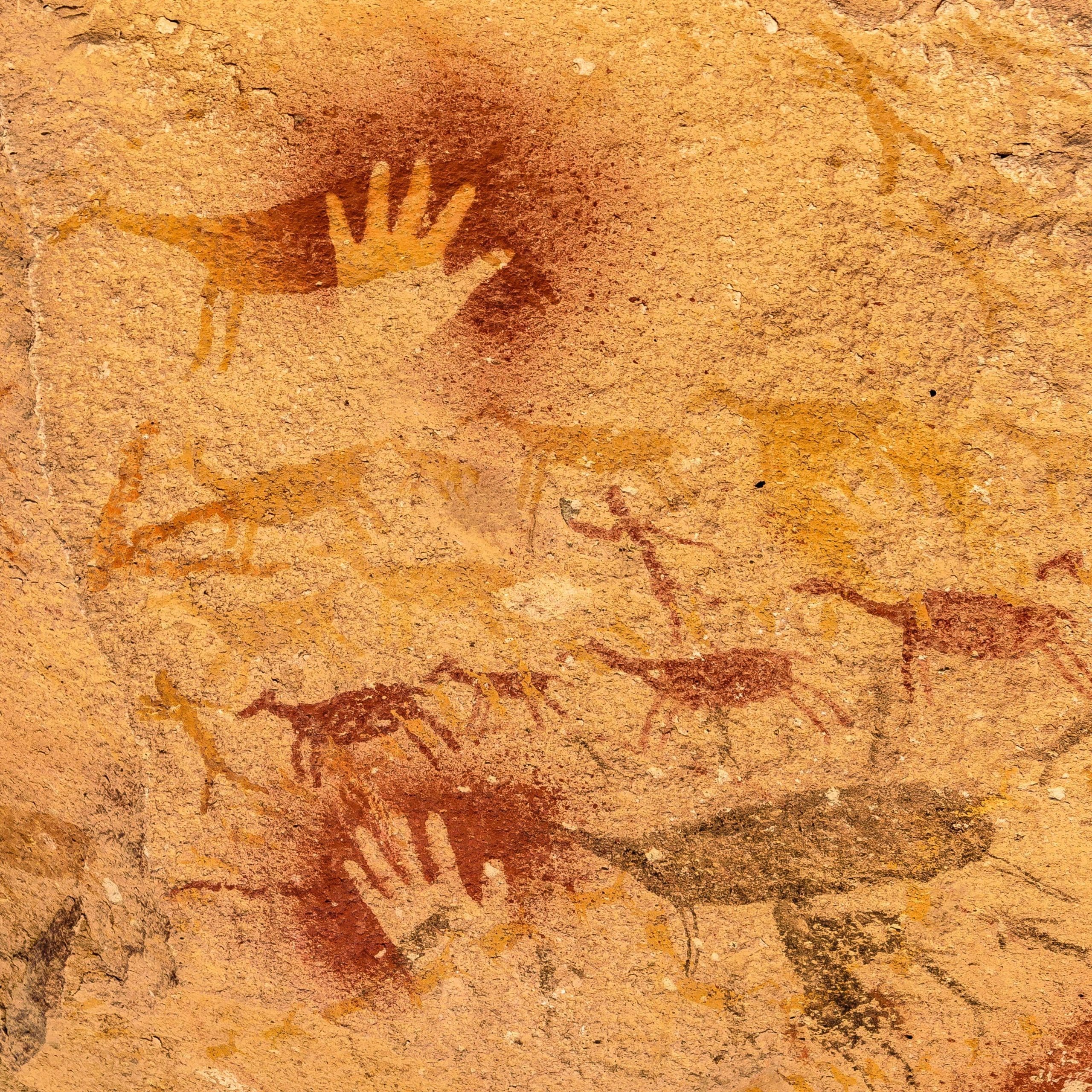 Photograph of cave art in Cueva de las Manos, Patagonia, Argentina.