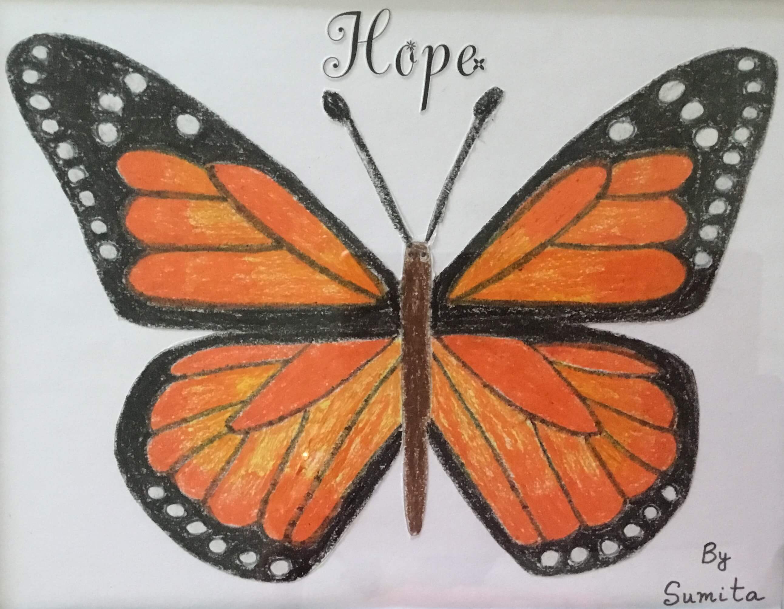 Drawing of a Monarch butterfly with the written message Hope made by Sumita Bose.