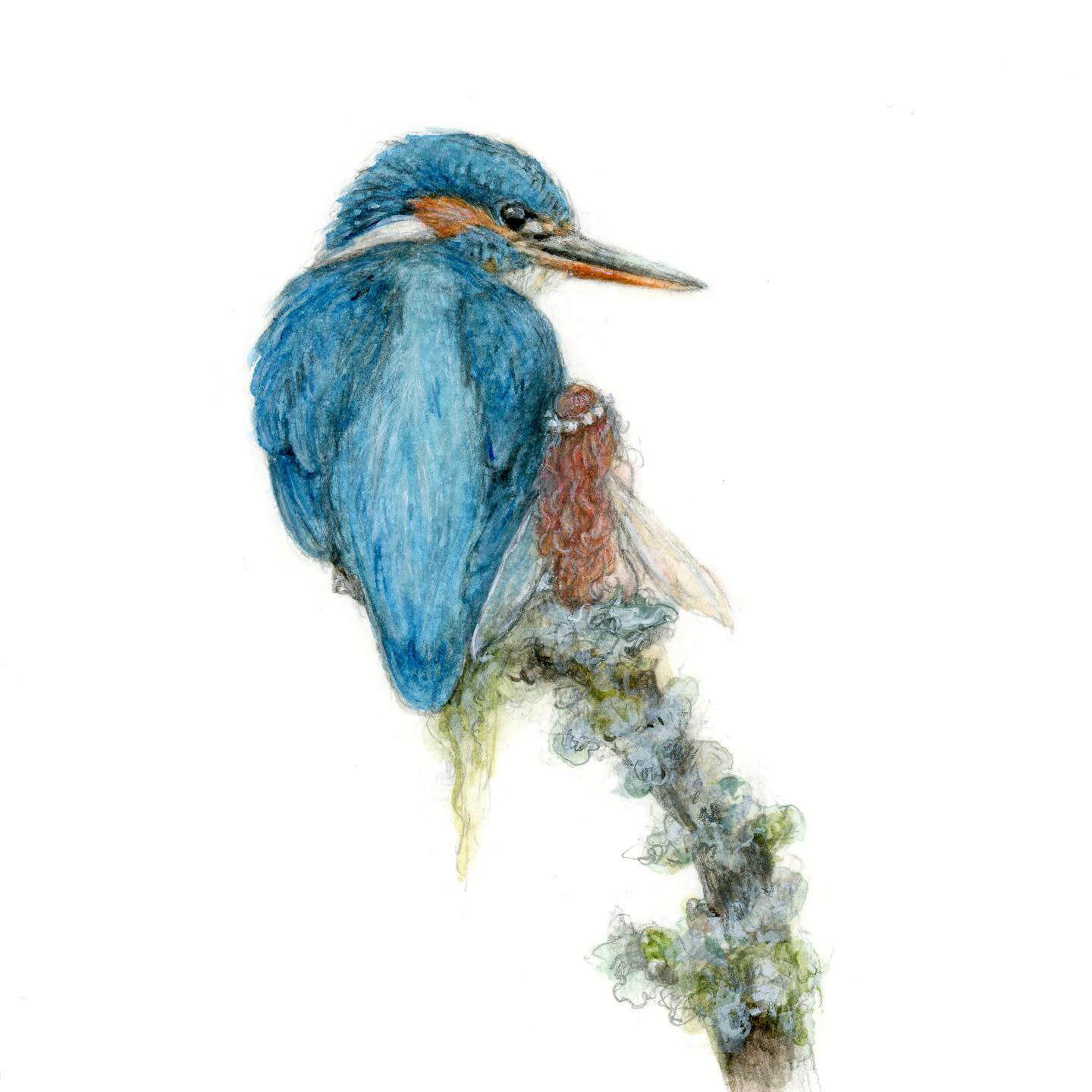 Painting of a blue bird, possible a Mountain Bluebird by Natacha Chohra. The bird is sitting on a tree branch and next to it is a small fairy.