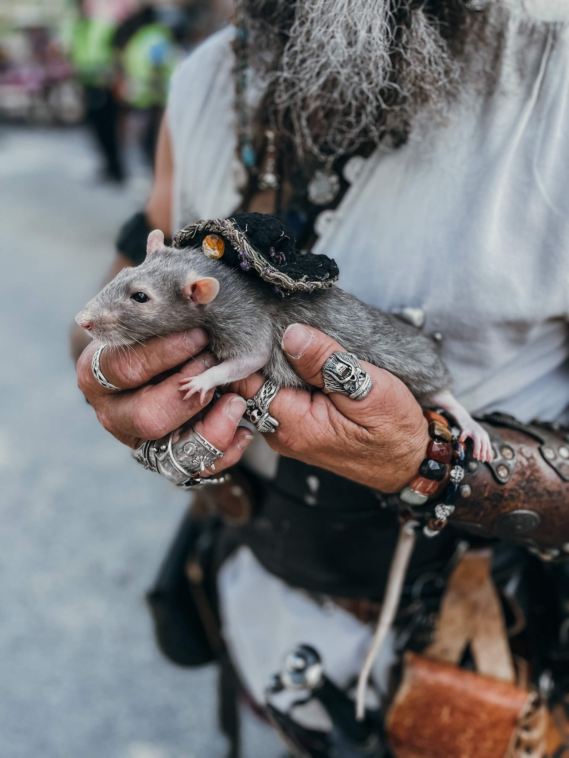 Photograph of a pirate holding in his hands his rat pet. The image focuses on the man's hands and the animal. The man has rings on almost all his fingers, while the rat has a small hat, attached to his back.