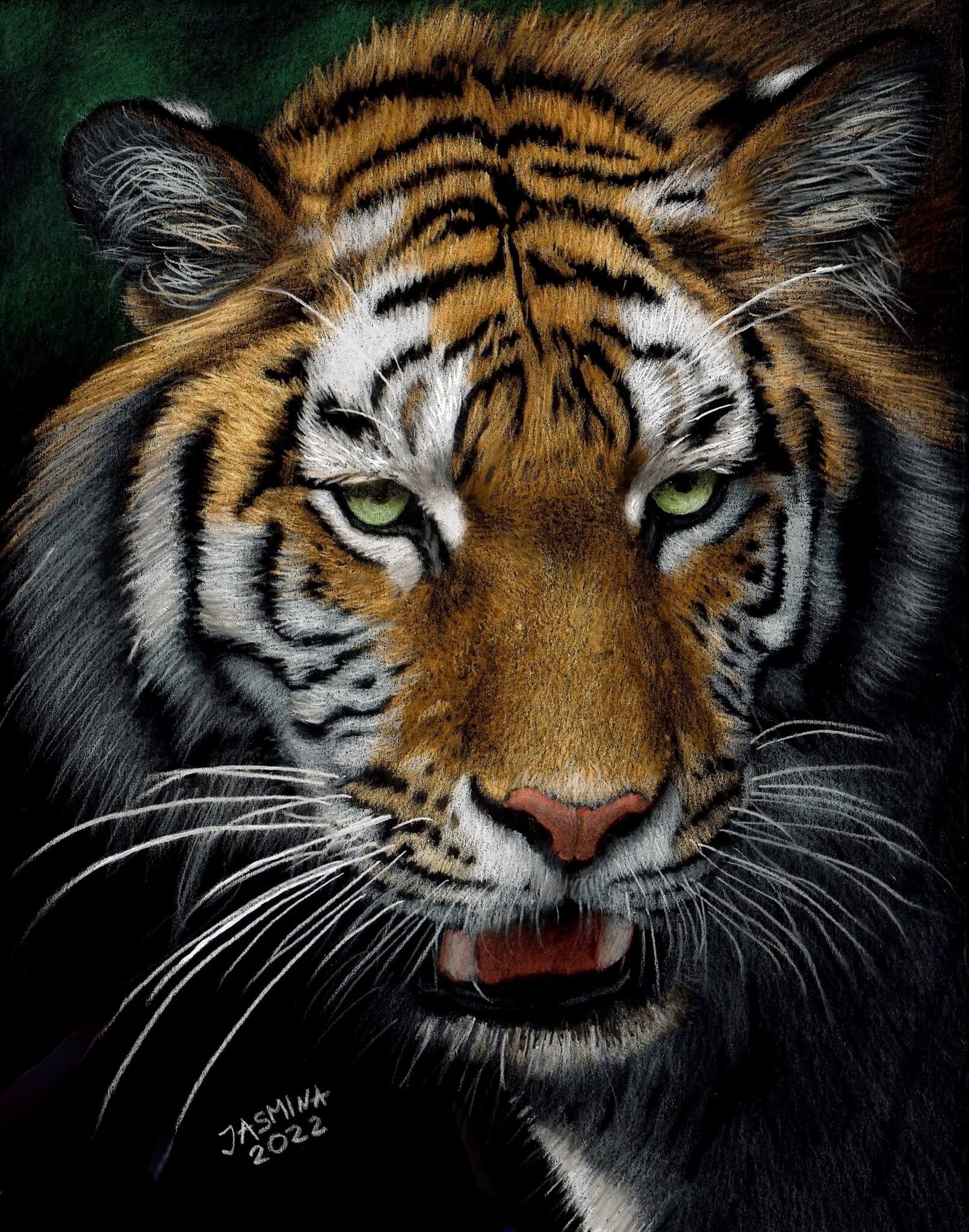 Beautiful tiger, drawing from photo by  Jasmina Susak.