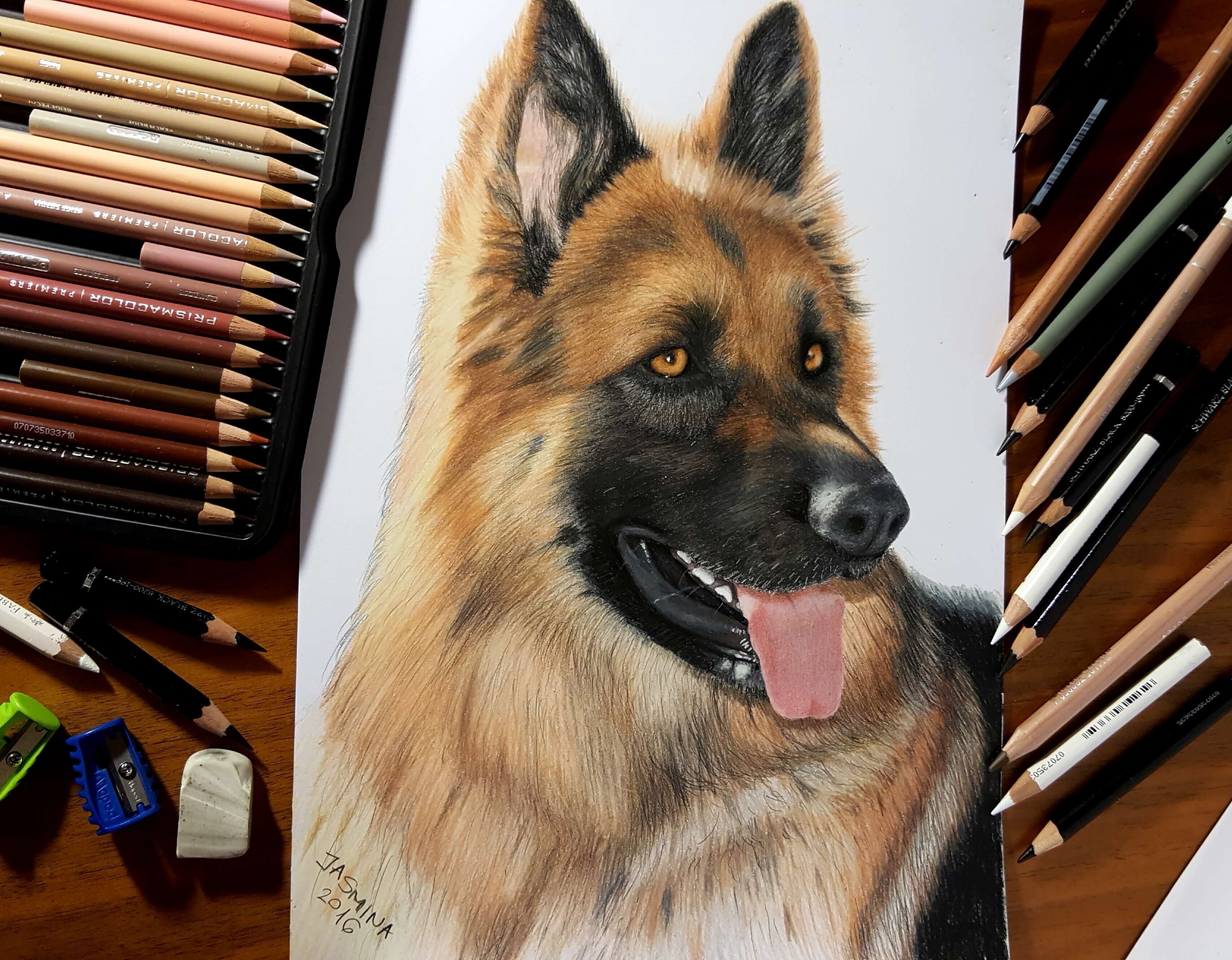 Photorealism by Jasmina Susak, representing a German Shepherd dog.
