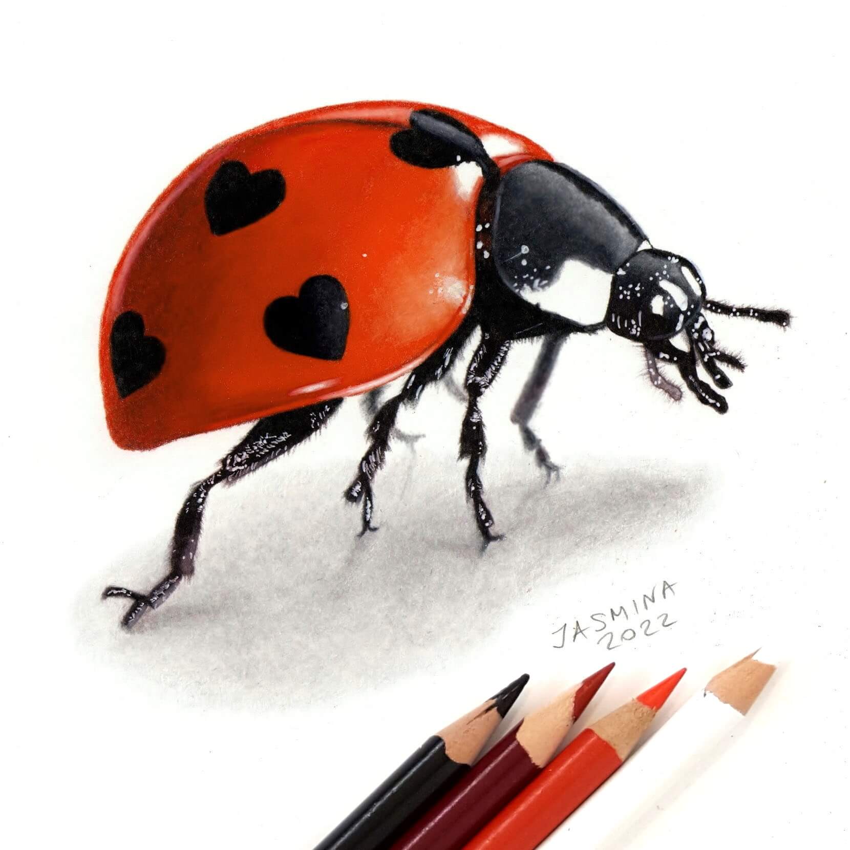 Photorealistic drawing by Jasmina Susak, representing a ladybug.