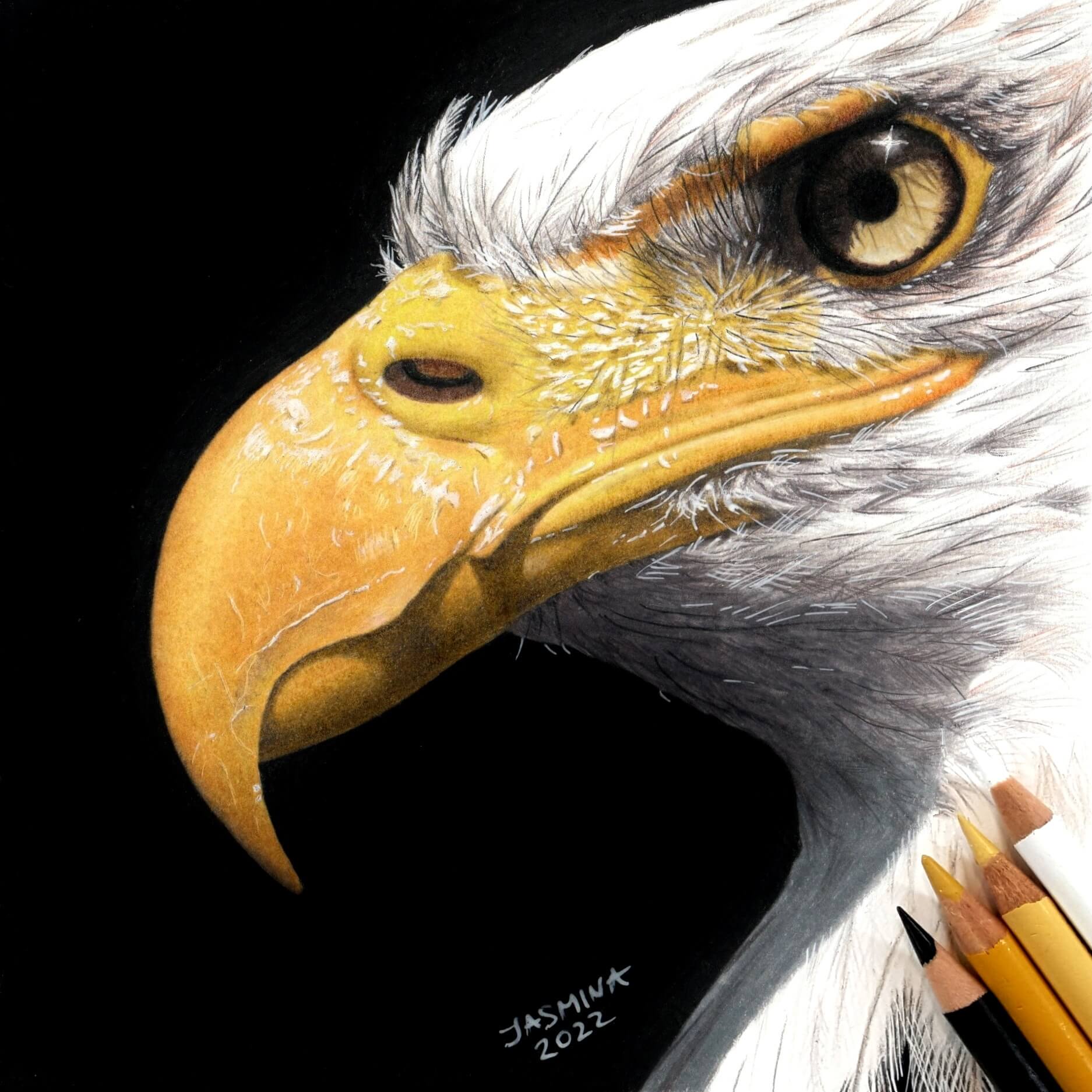 Photorealistic drawing by artist Jasmina Susak, representing an eagle.