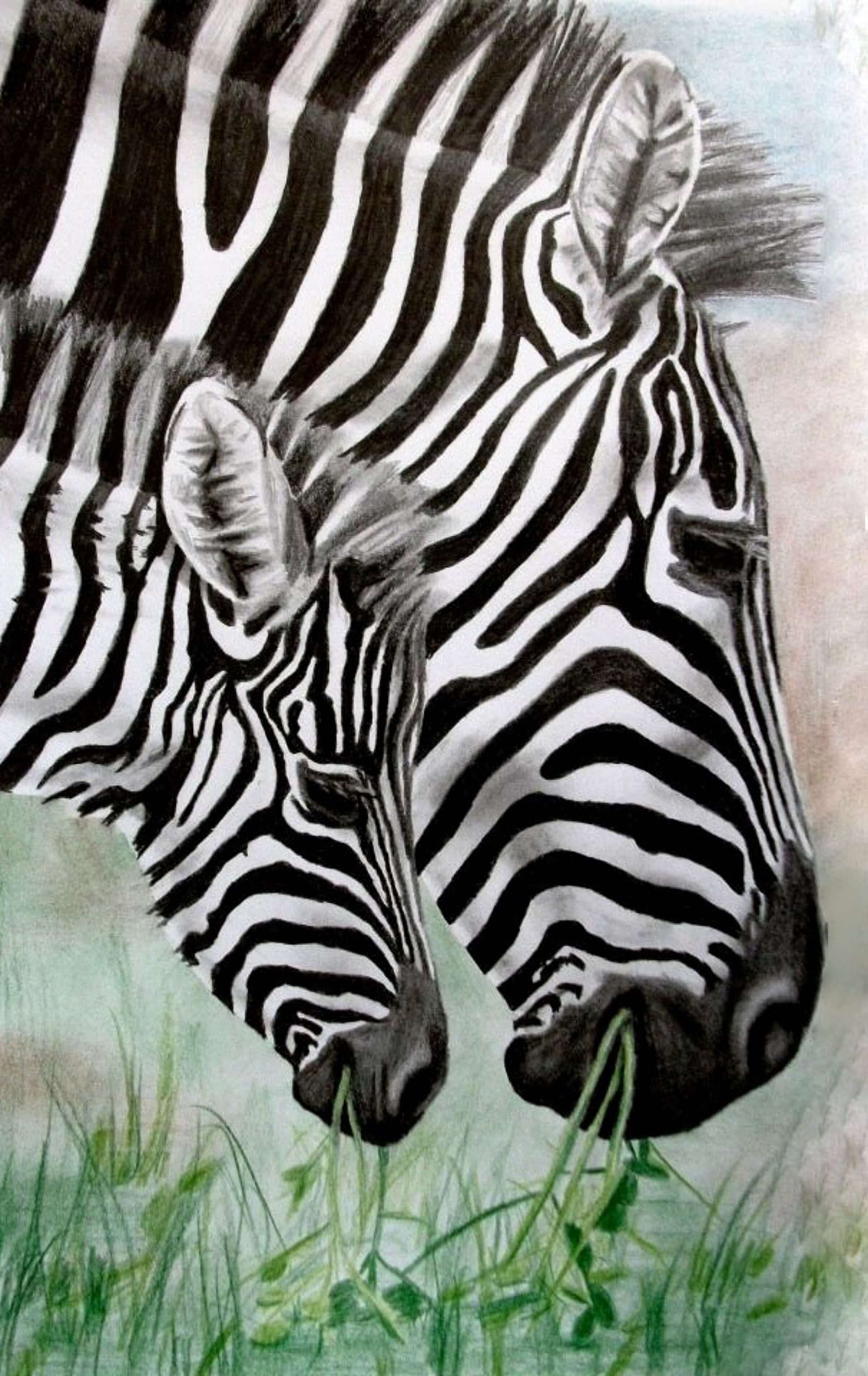 Photorealism drawing representing two zebras.