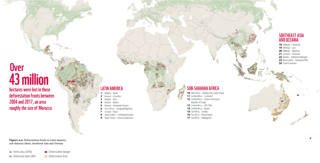 WWF report 2021 "Deforestation fronts drivers and responses in a changing world"