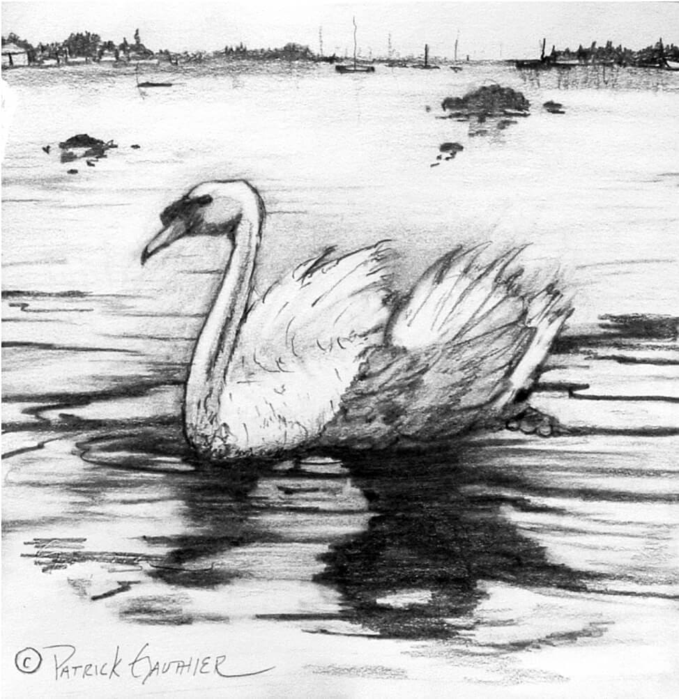 artist patrick gauthier avondale swan drawing
