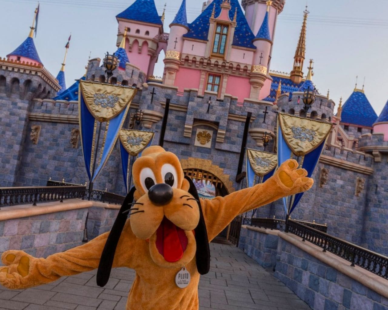 disneyland pluto welcome