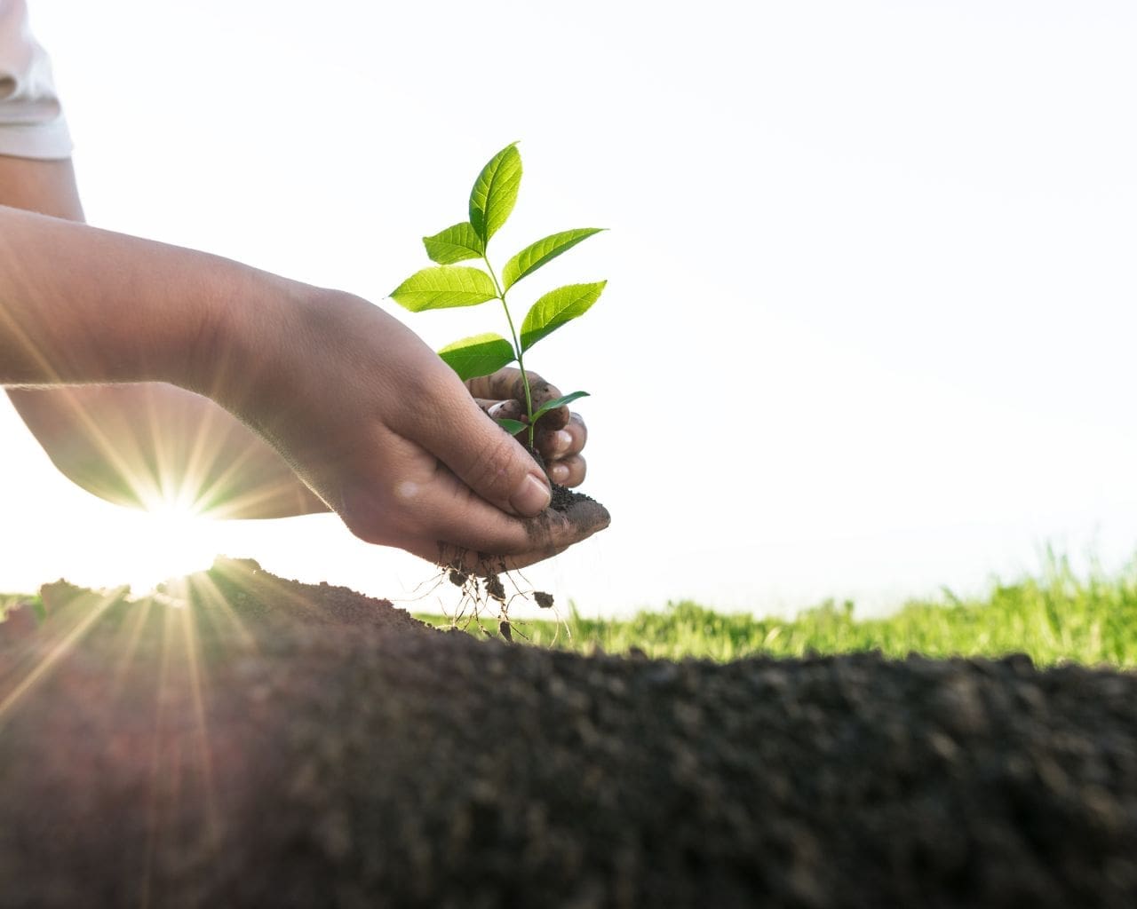 xr:d:DAF cllVYOk:10,j:4518661091950599688,t:24041318