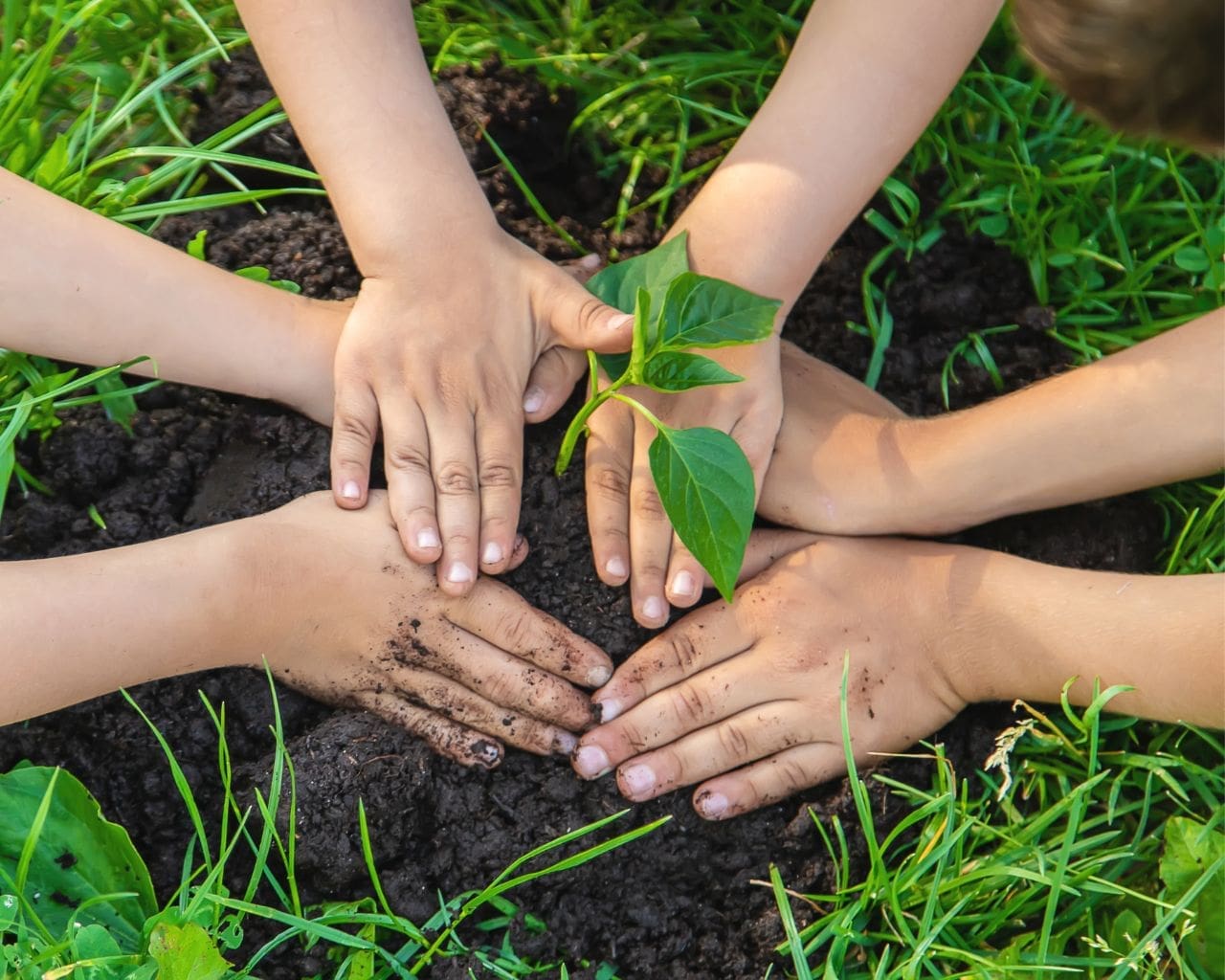 environmental-action-children-planting-a-tree318
